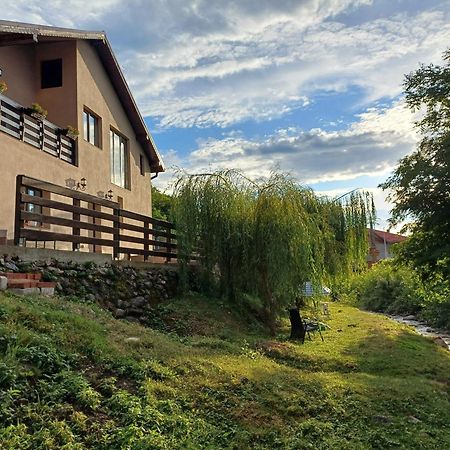 Apartament Casa Radu Novaci-Străini Zewnętrze zdjęcie