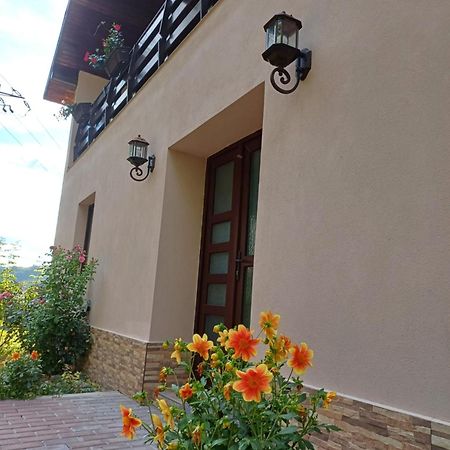 Apartament Casa Radu Novaci-Străini Zewnętrze zdjęcie