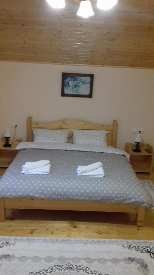 Apartament Casa Radu Novaci-Străini Zewnętrze zdjęcie