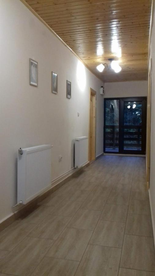 Apartament Casa Radu Novaci-Străini Zewnętrze zdjęcie