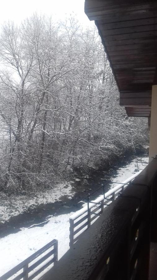 Apartament Casa Radu Novaci-Străini Zewnętrze zdjęcie