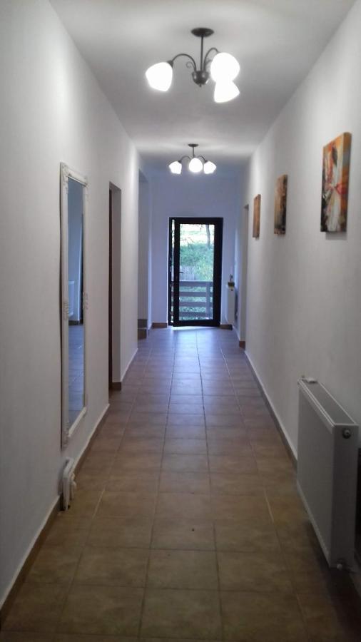 Apartament Casa Radu Novaci-Străini Zewnętrze zdjęcie