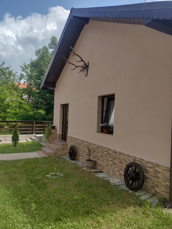 Apartament Casa Radu Novaci-Străini Zewnętrze zdjęcie