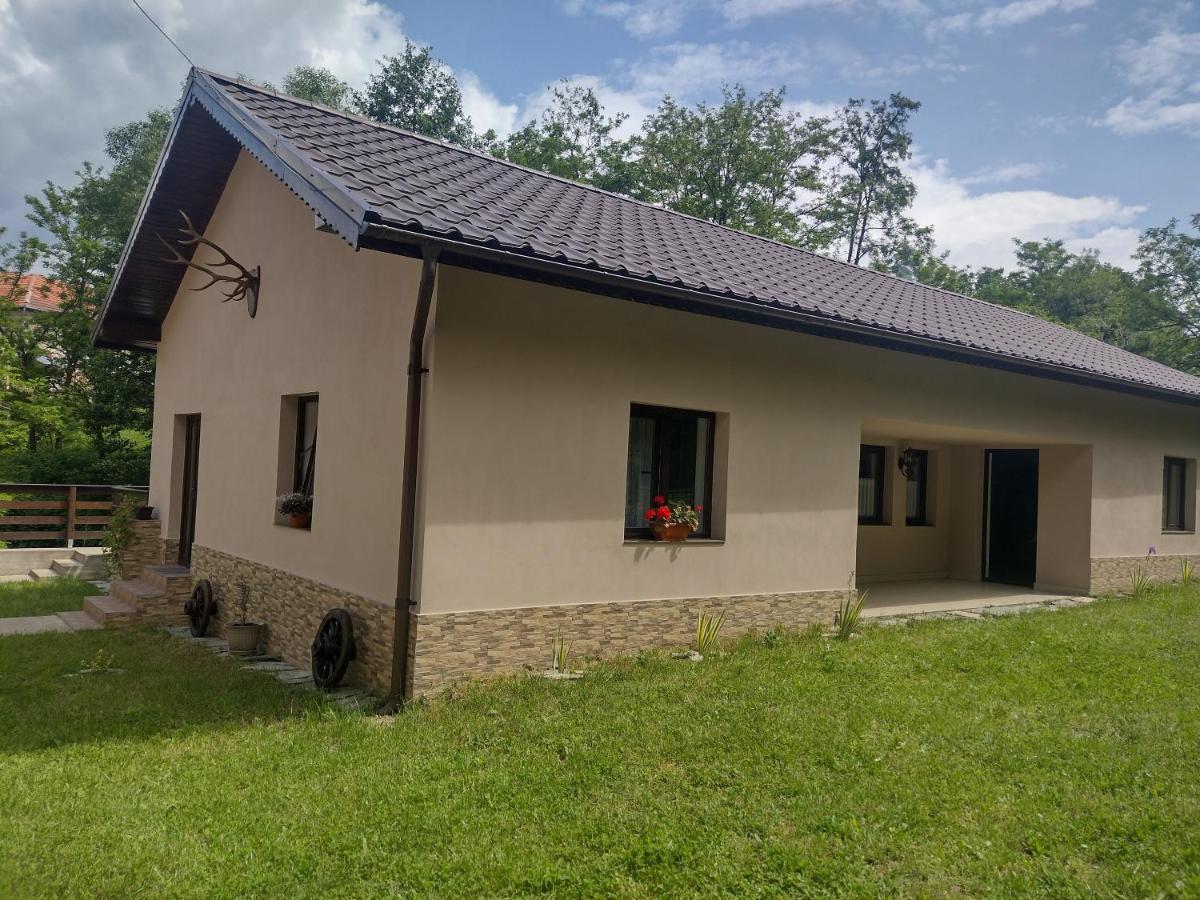 Apartament Casa Radu Novaci-Străini Zewnętrze zdjęcie