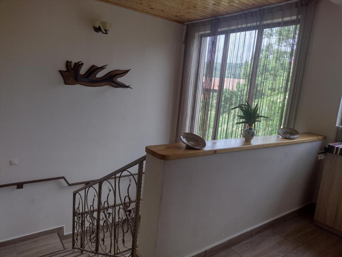 Apartament Casa Radu Novaci-Străini Zewnętrze zdjęcie