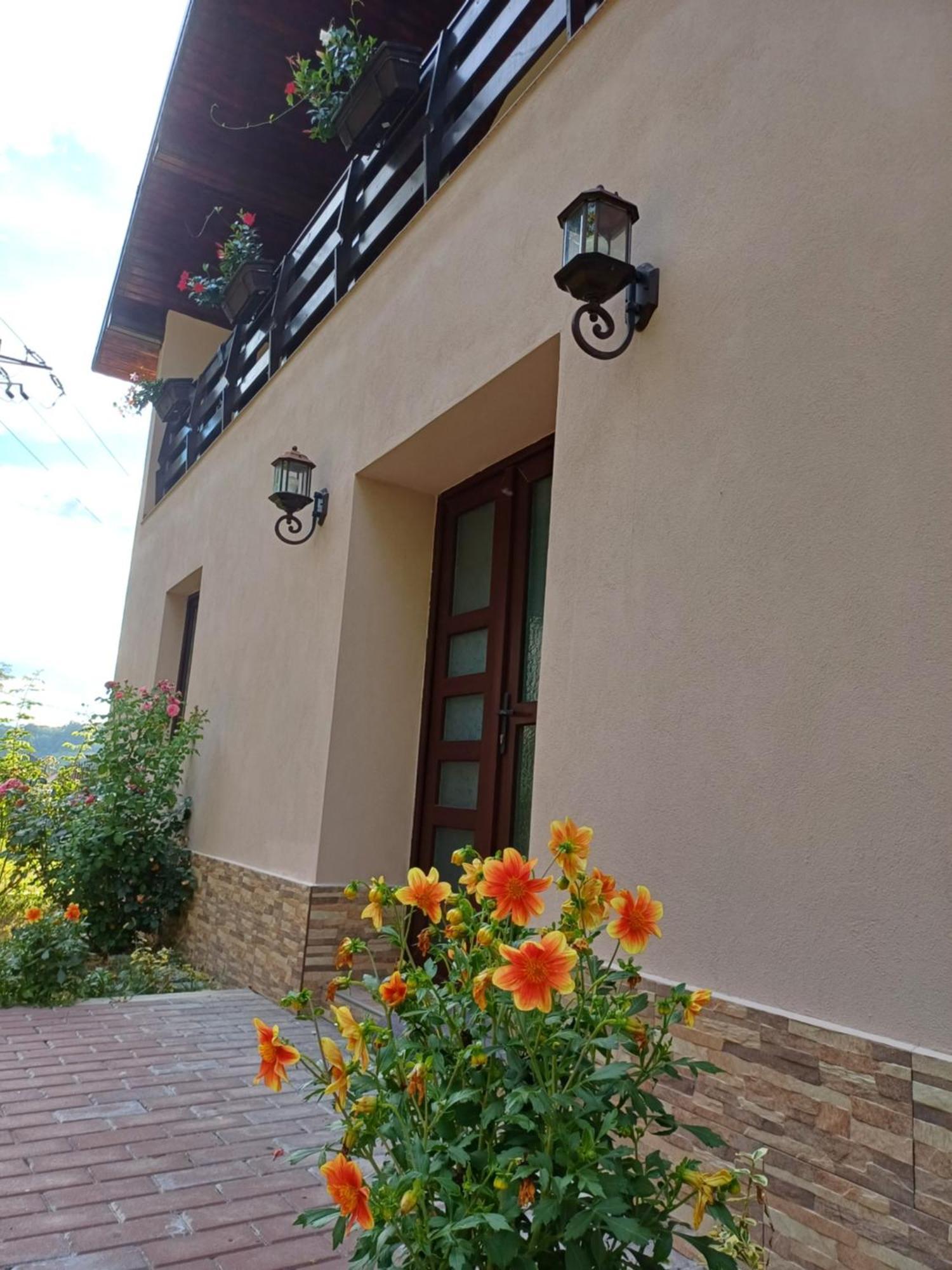 Apartament Casa Radu Novaci-Străini Zewnętrze zdjęcie