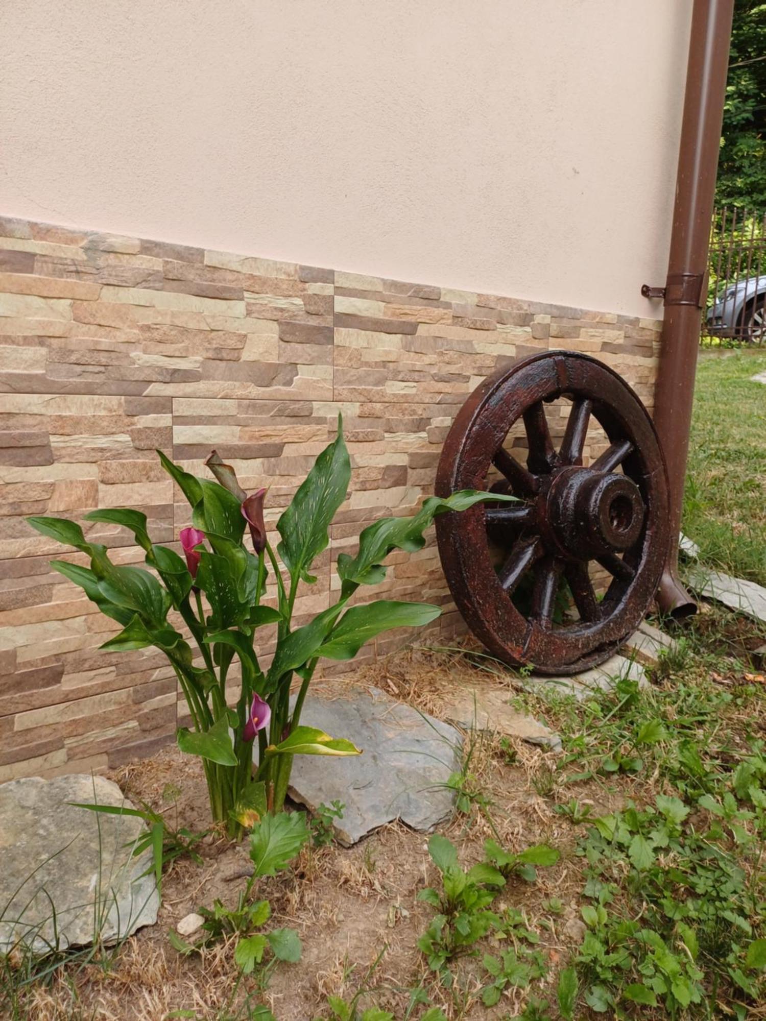 Apartament Casa Radu Novaci-Străini Zewnętrze zdjęcie