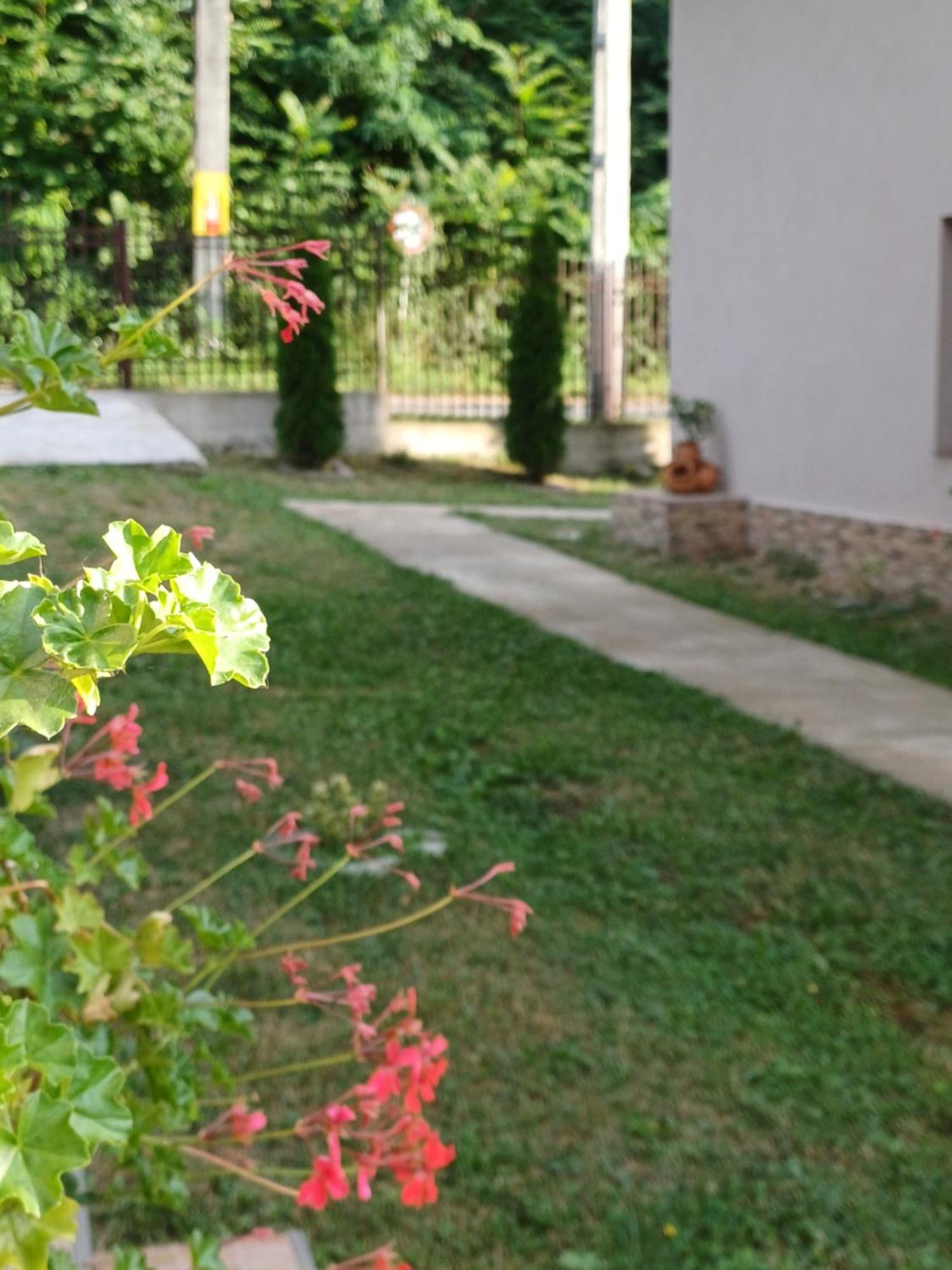 Apartament Casa Radu Novaci-Străini Zewnętrze zdjęcie