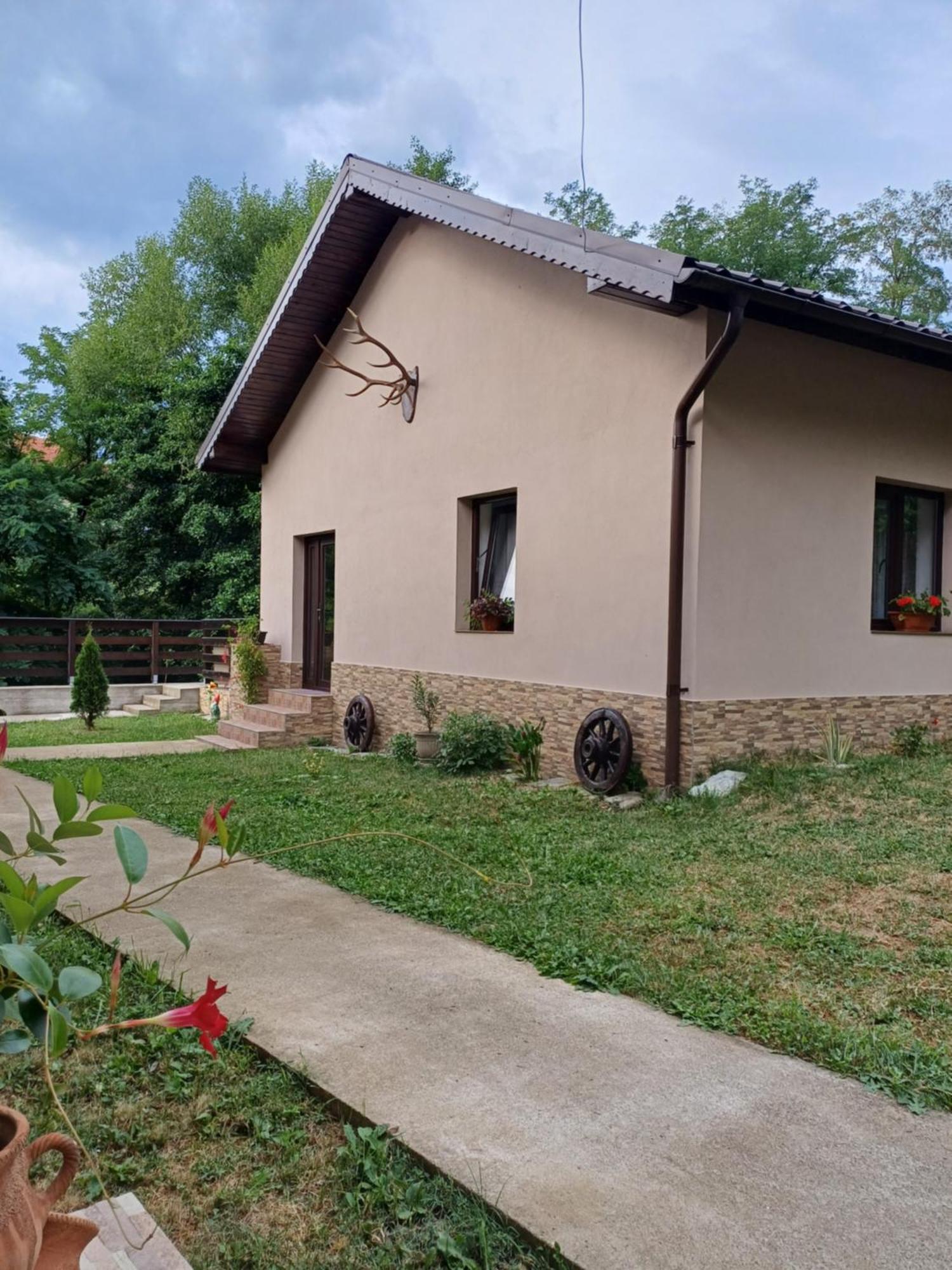Apartament Casa Radu Novaci-Străini Zewnętrze zdjęcie
