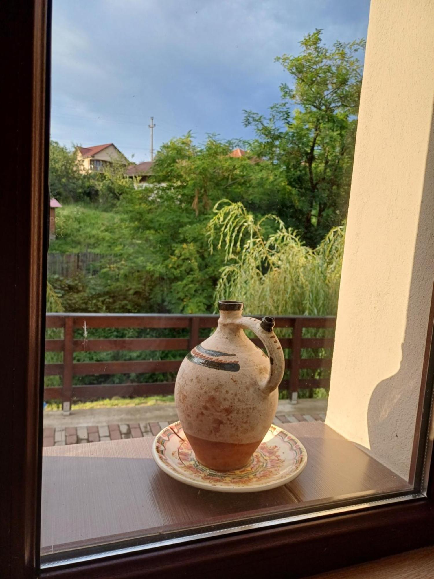Apartament Casa Radu Novaci-Străini Zewnętrze zdjęcie
