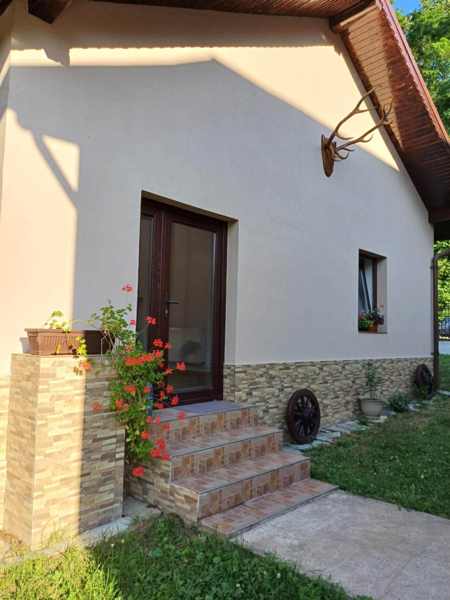 Apartament Casa Radu Novaci-Străini Zewnętrze zdjęcie