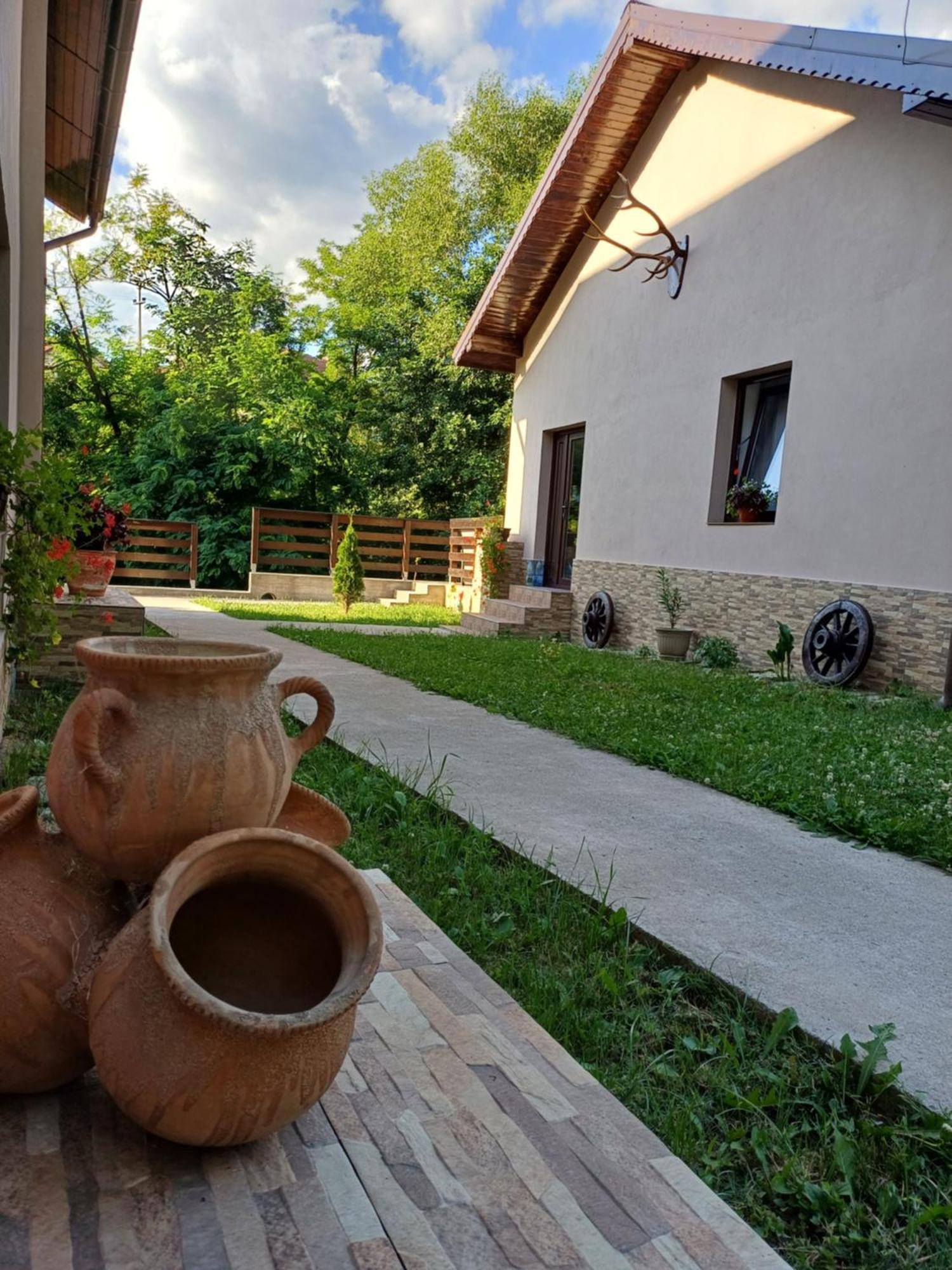 Apartament Casa Radu Novaci-Străini Zewnętrze zdjęcie