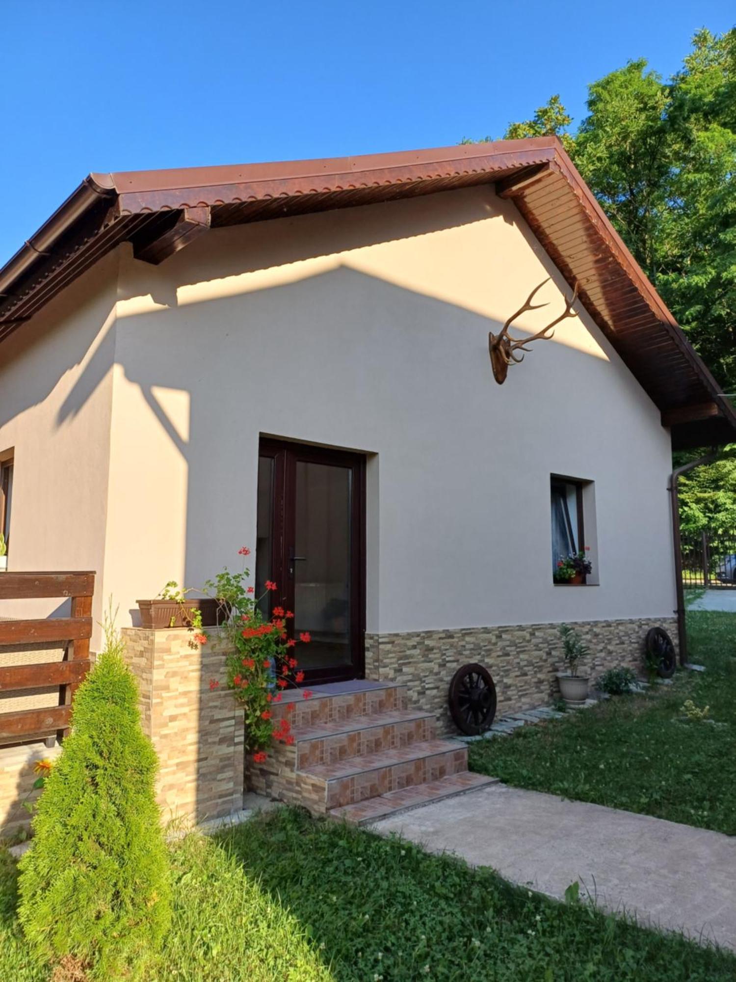 Apartament Casa Radu Novaci-Străini Zewnętrze zdjęcie