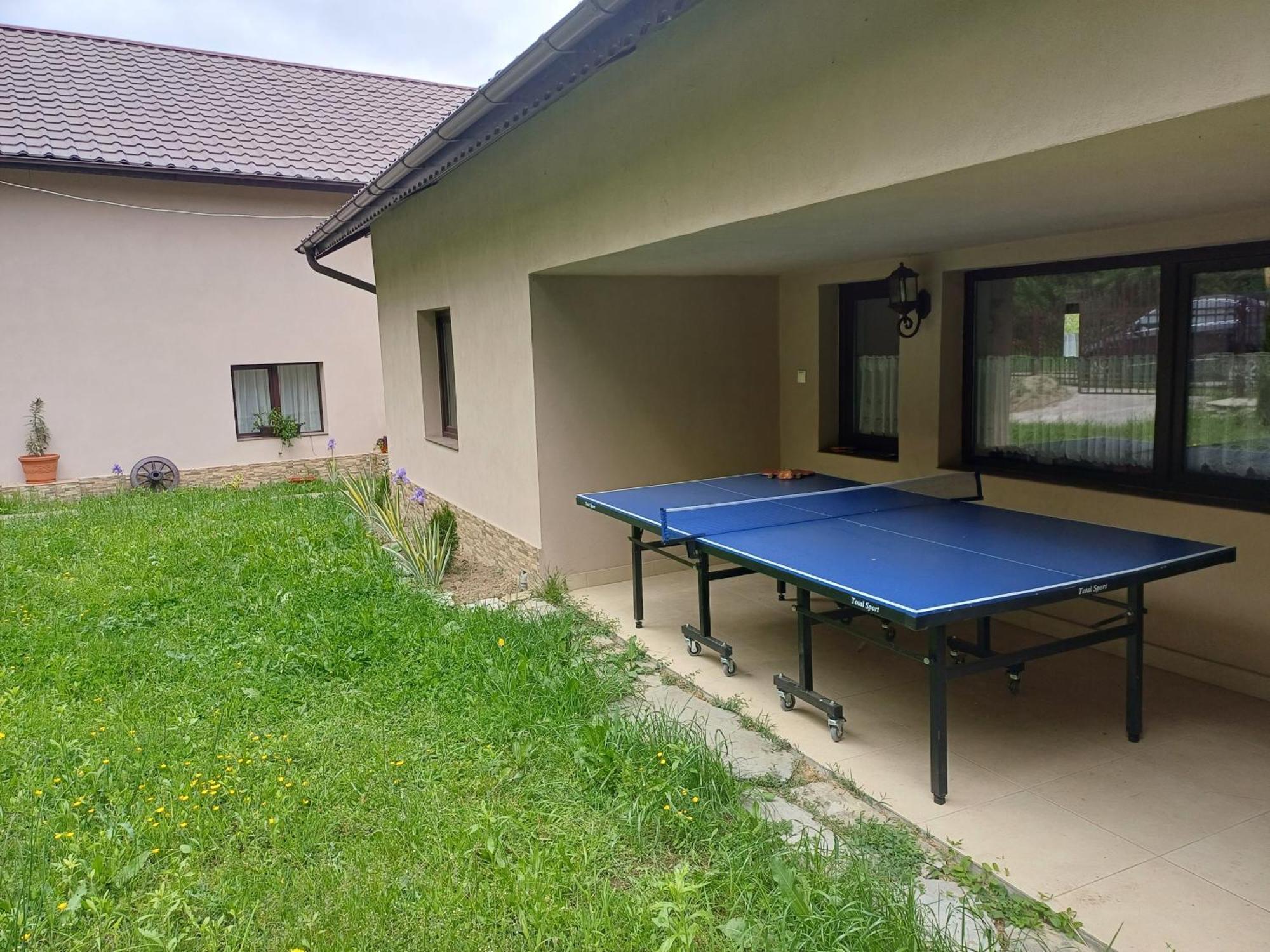 Apartament Casa Radu Novaci-Străini Zewnętrze zdjęcie